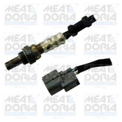 Oxygen Sensor